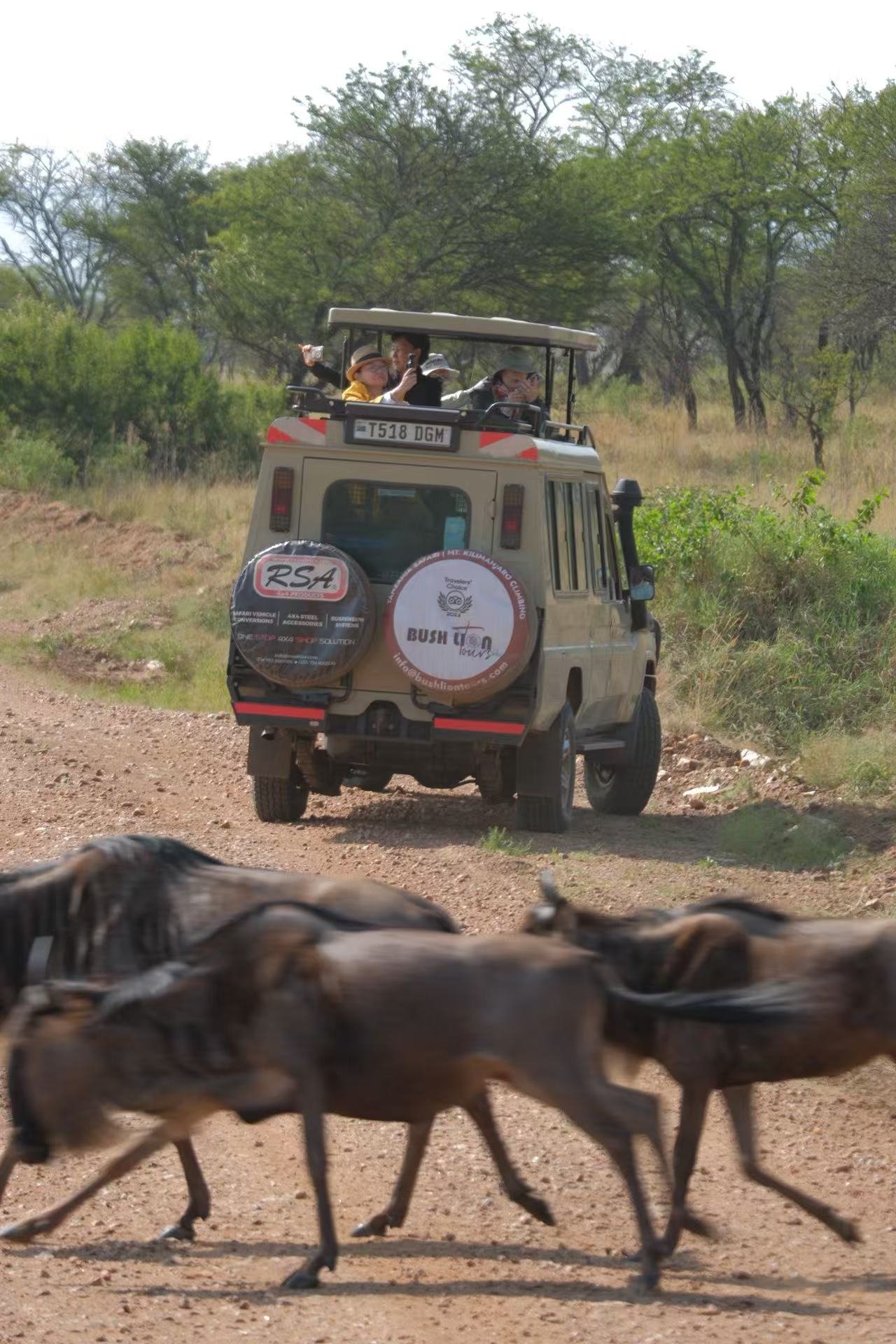 Professional Tanzanian safari guide